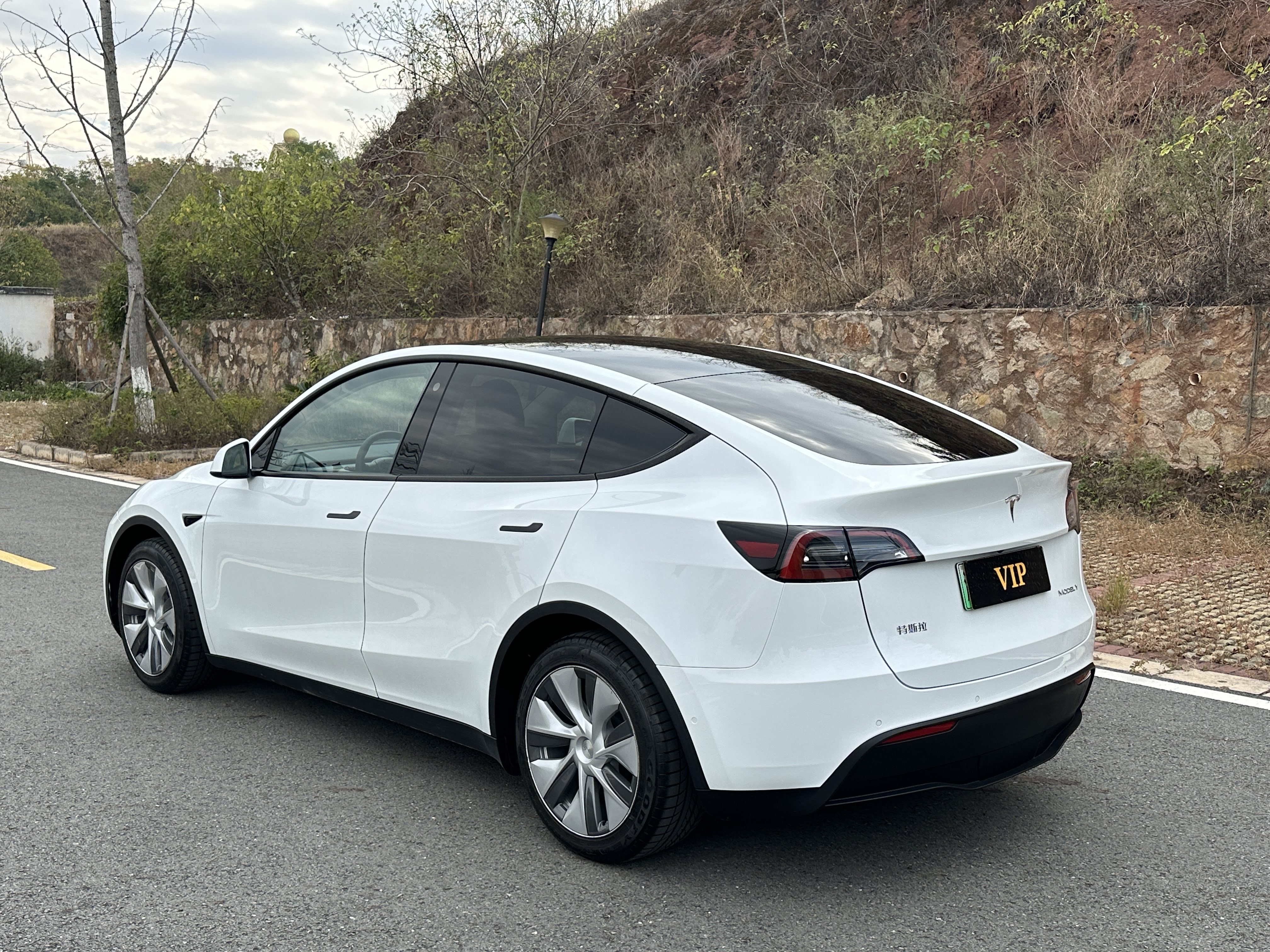 Tesla Model Y 2021 Standard Range RWD 66,000 km - View 3