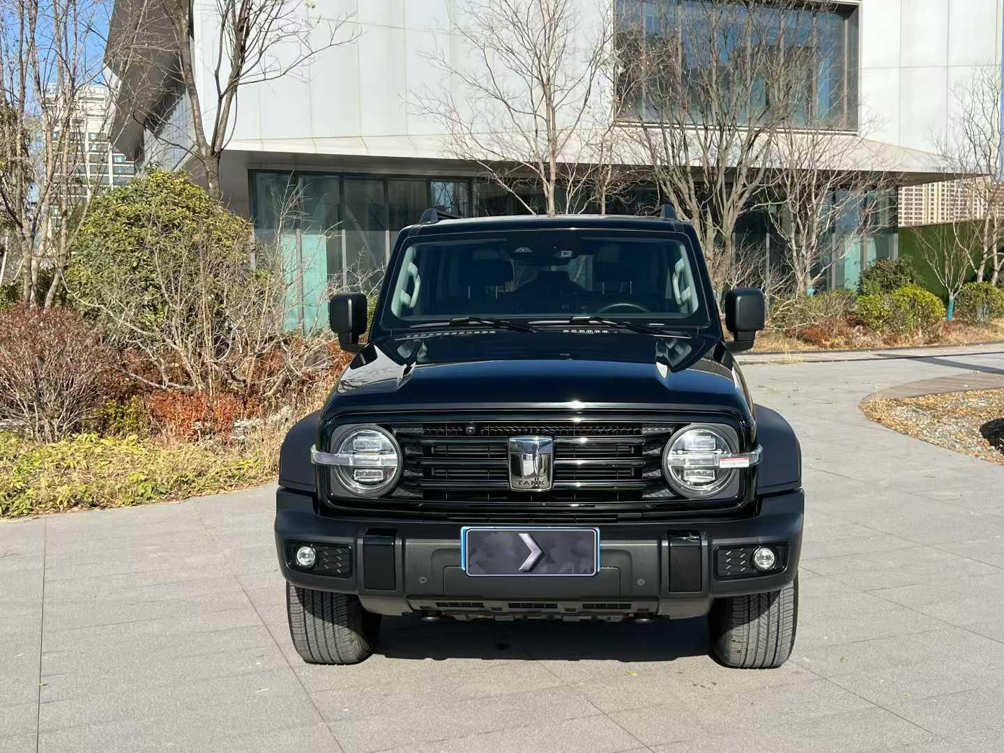 Tank 300 2023 2.0T AT Off-Road Conqueror - View 4