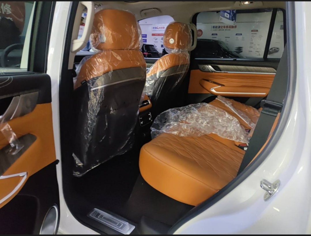 2026 TANK 500 Hi4-T Premium PHEV OFF-Road SUV - View 4