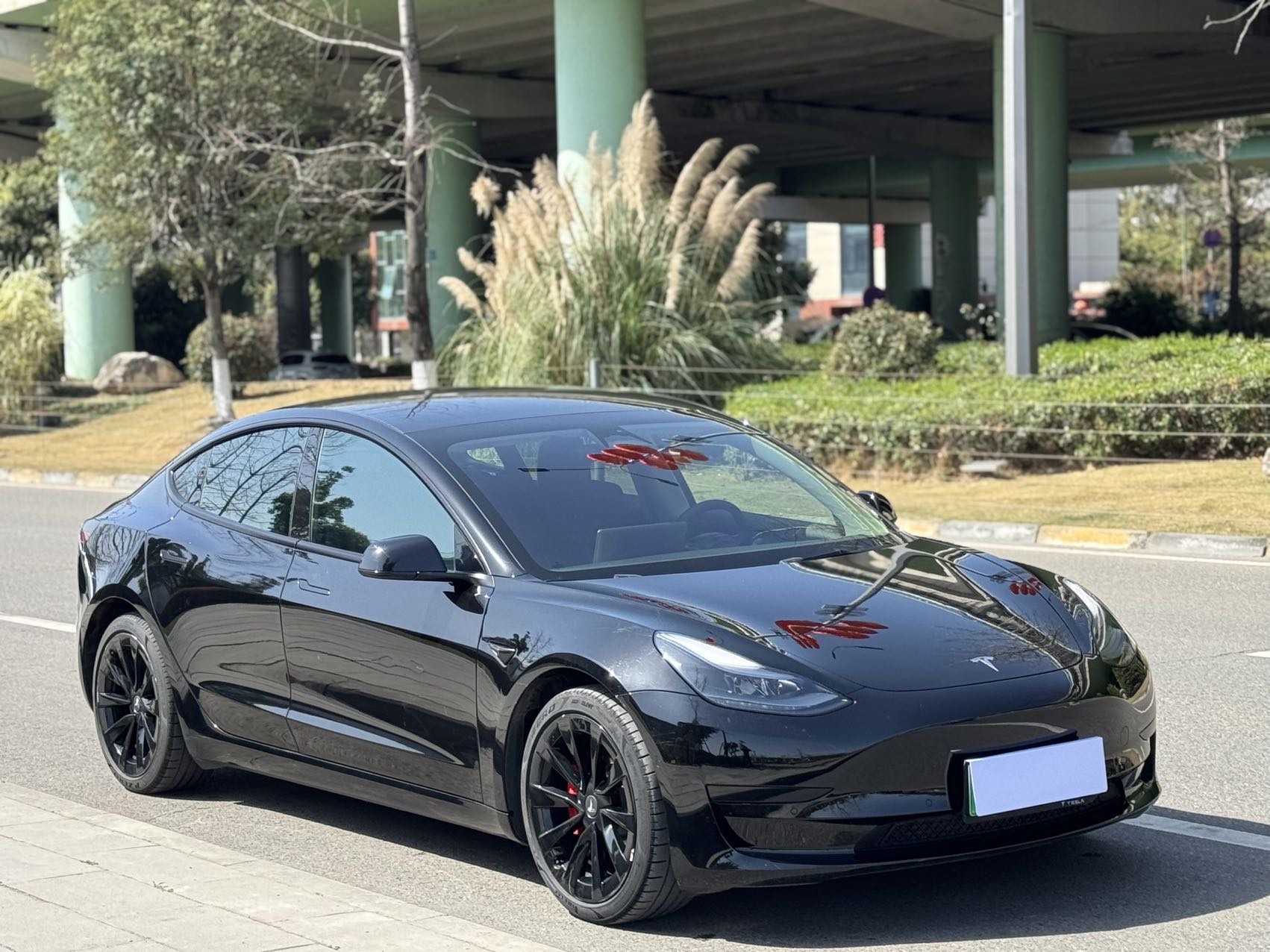 Tesla Model 3 2022 Rear-Wheel Drive 25,000 km - View 3