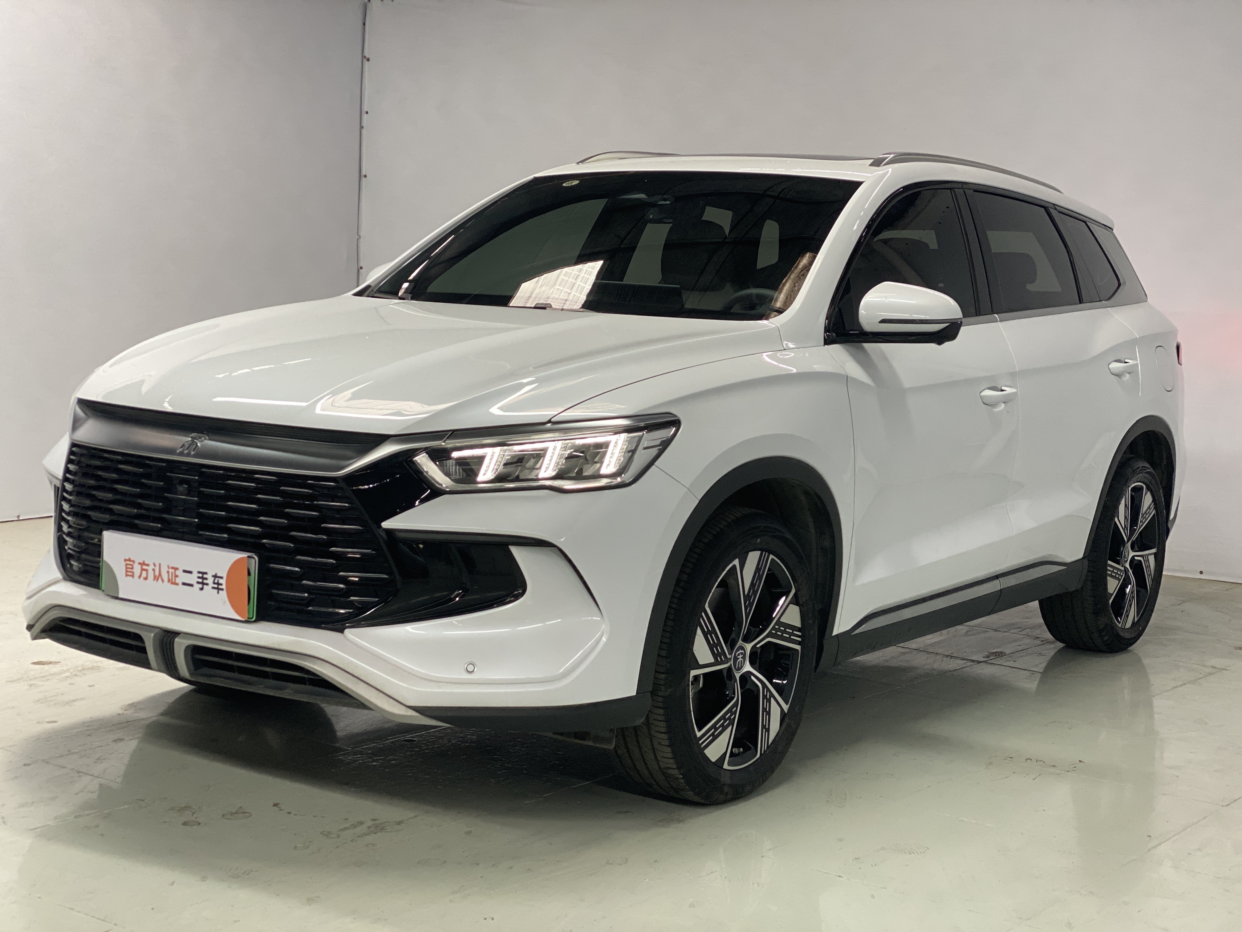 2024 BYD Song Pro New Energy DM-i Glory Edition 110KM Excellence