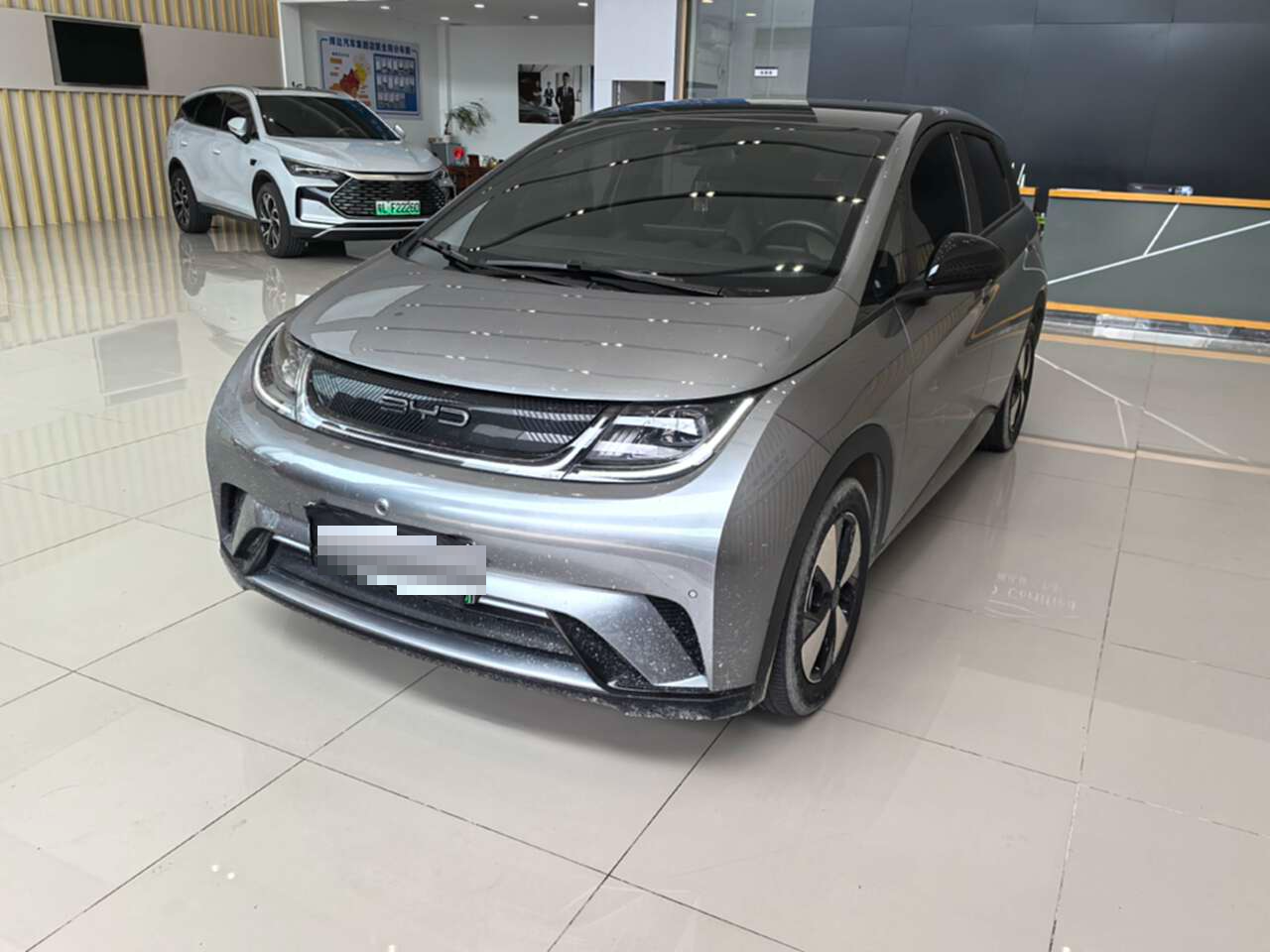2023 BYD Dolphin EV 420km Fashion Edition