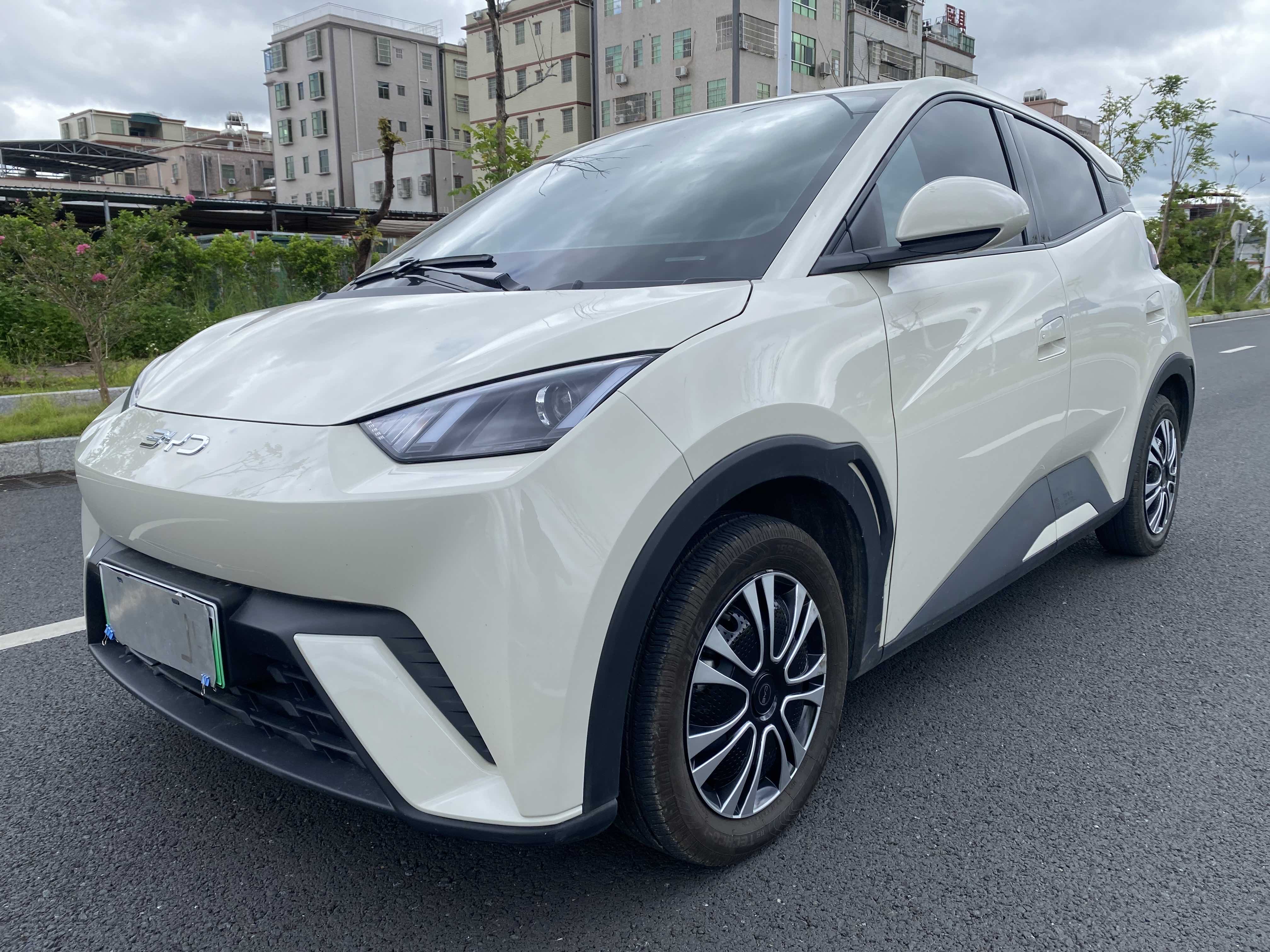 2024 BYD Seagull Glory Edition 305km Vitality